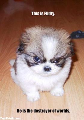 GRRRRRR!!! -  Animals - Dogs, Cats - 